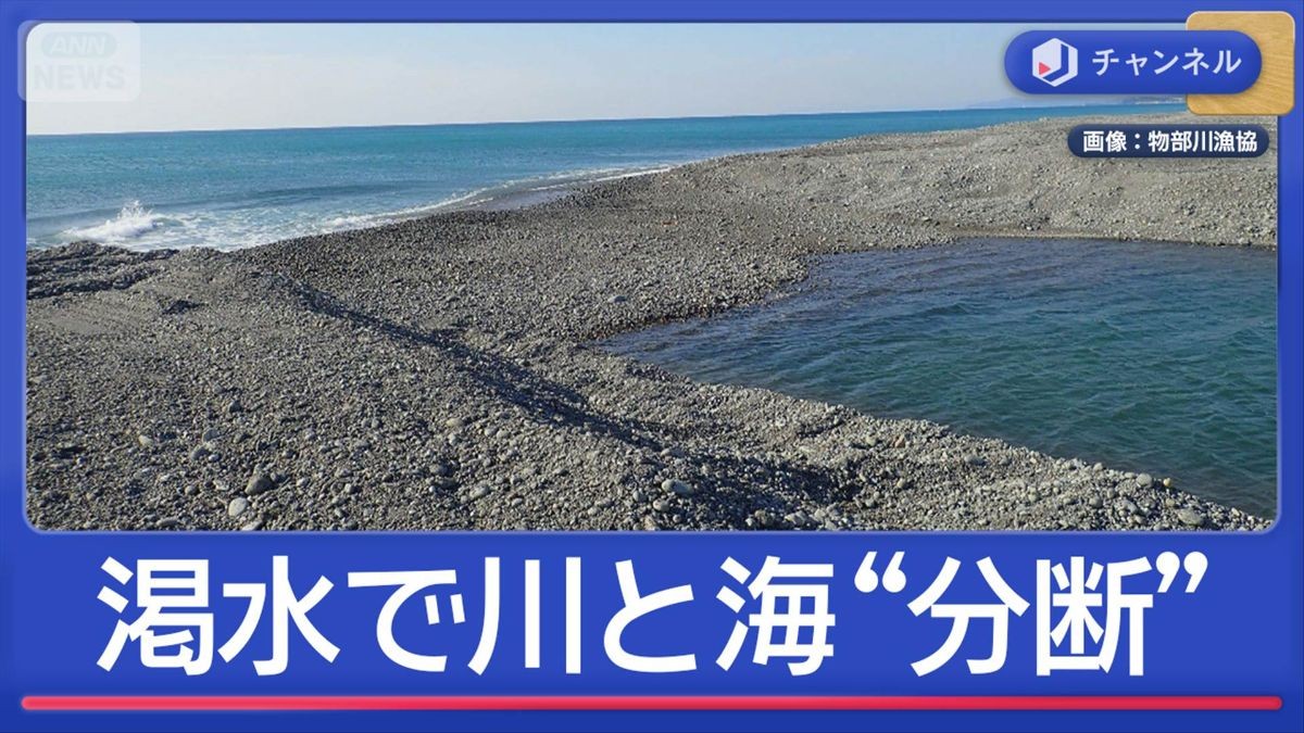 渇水で川と海が分断　“日本一美味しいアユ”危機