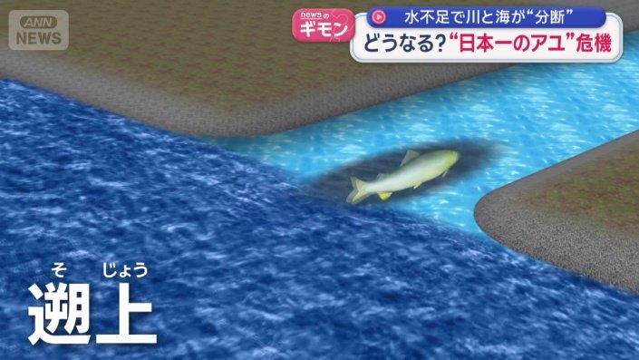 川の上流を目指して遡上