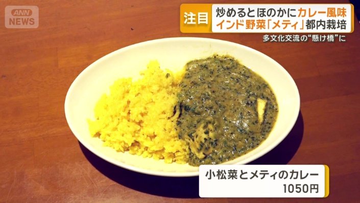 小松菜とメティのカレー