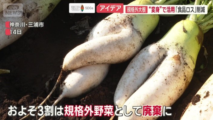 見た目を理由に約3割が廃棄になる規格外野菜