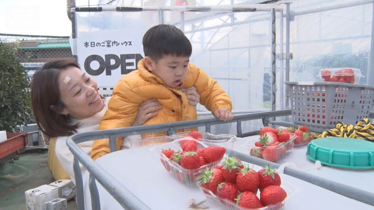 2月に異例　東京都内で25℃超え…甲府市も104年ぶり「夏日」　イチゴ農園には客1000人