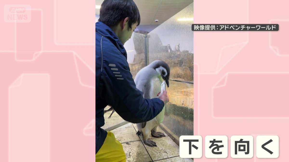 食べずに下を向く