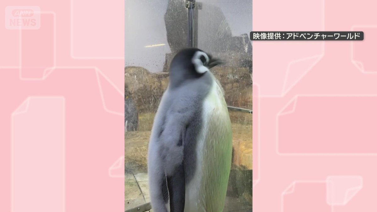 魚を口にしても…イヤイヤ