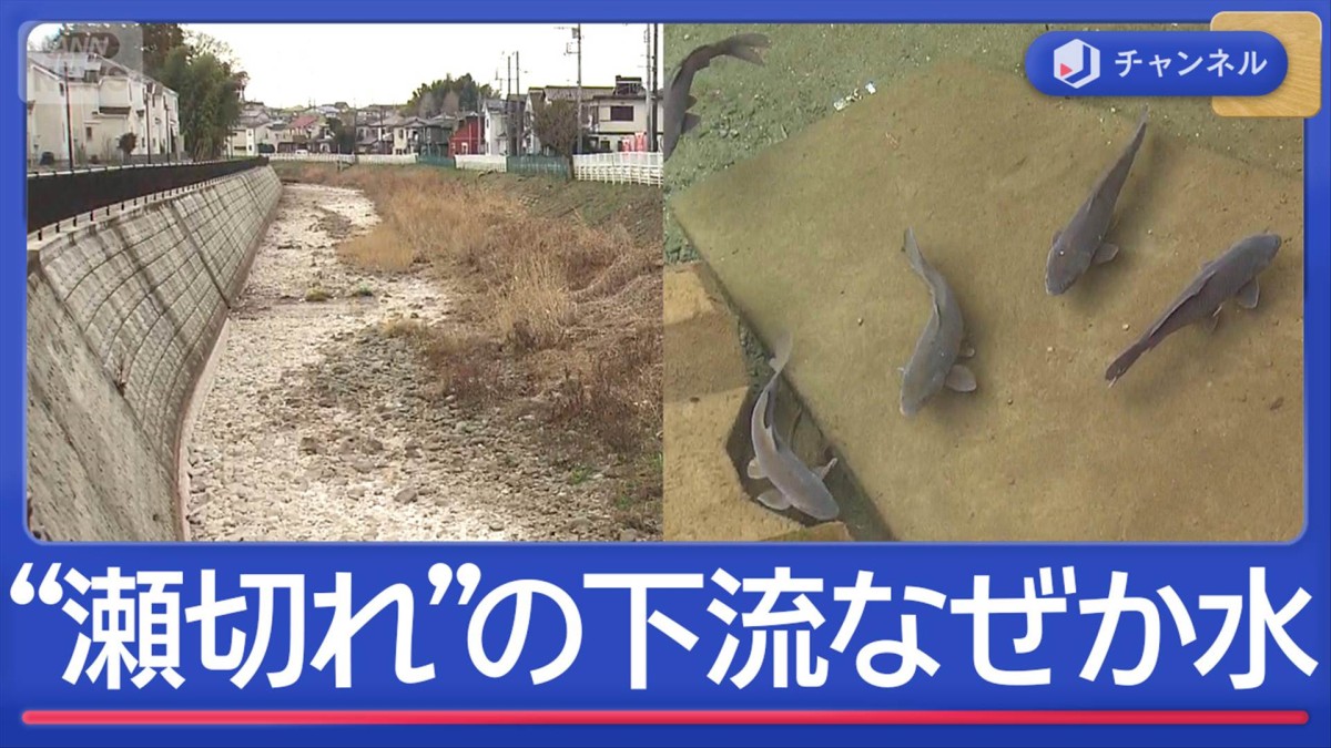 東海道五十三次にも描かれた川が“瀬切れ”　でも下流には水が…なぜ？