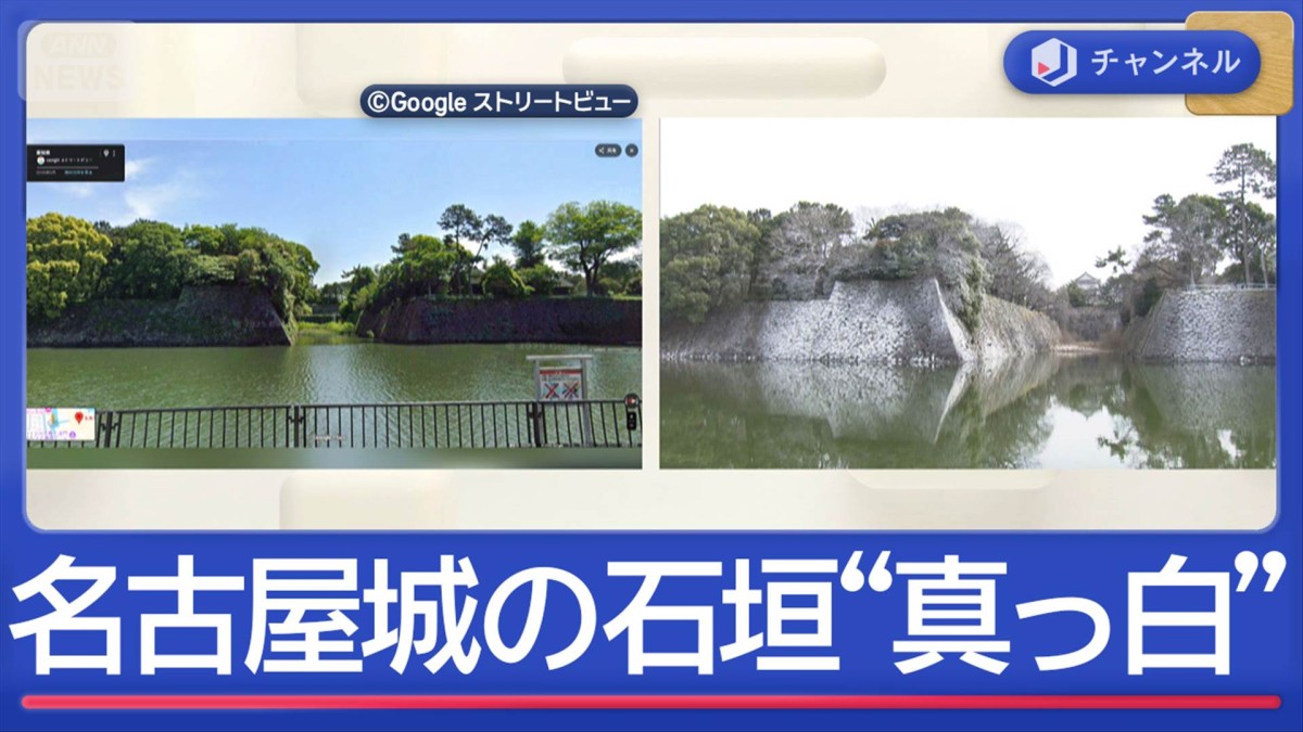 観光スポットに異変　名古屋城の石垣が真っ白に　犯人は…