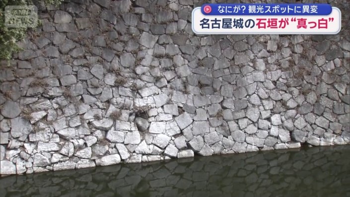 白く染まる石垣