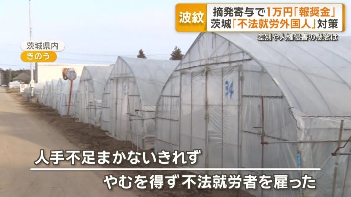 やむを得ず不法就労者を雇ったことも