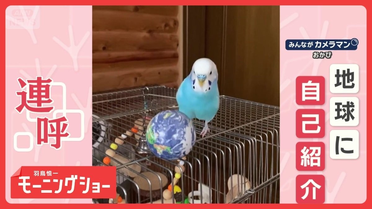 地球に自己紹介　「ピコ、ピコ、ピコちゃーん」　名前を連呼する理由は…愛！？