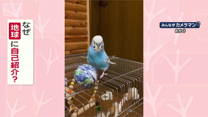 なぜ自己紹介するの?