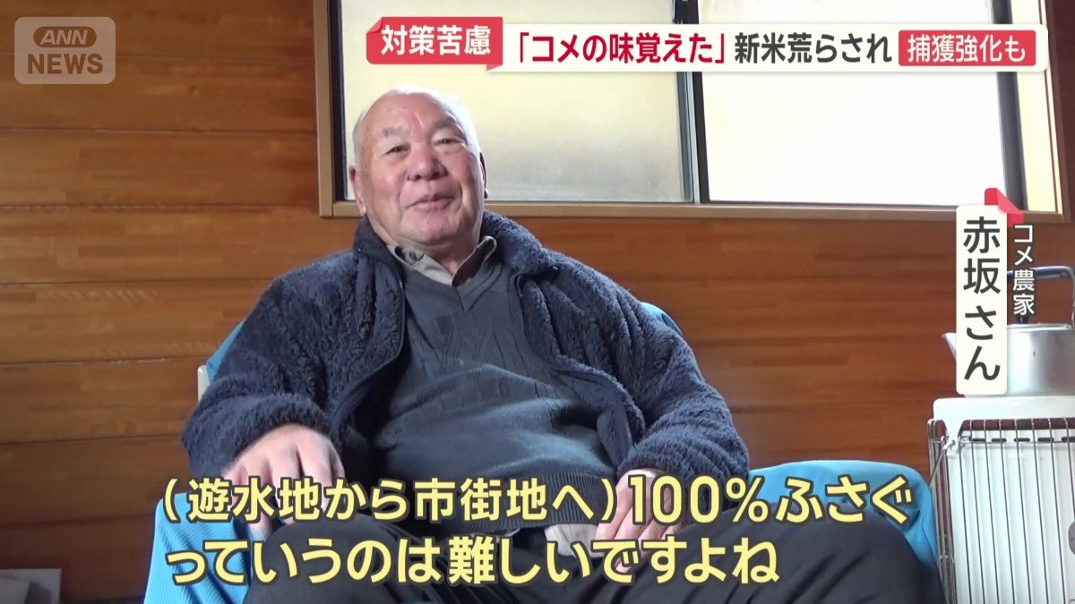 コメ農家　赤坂さん