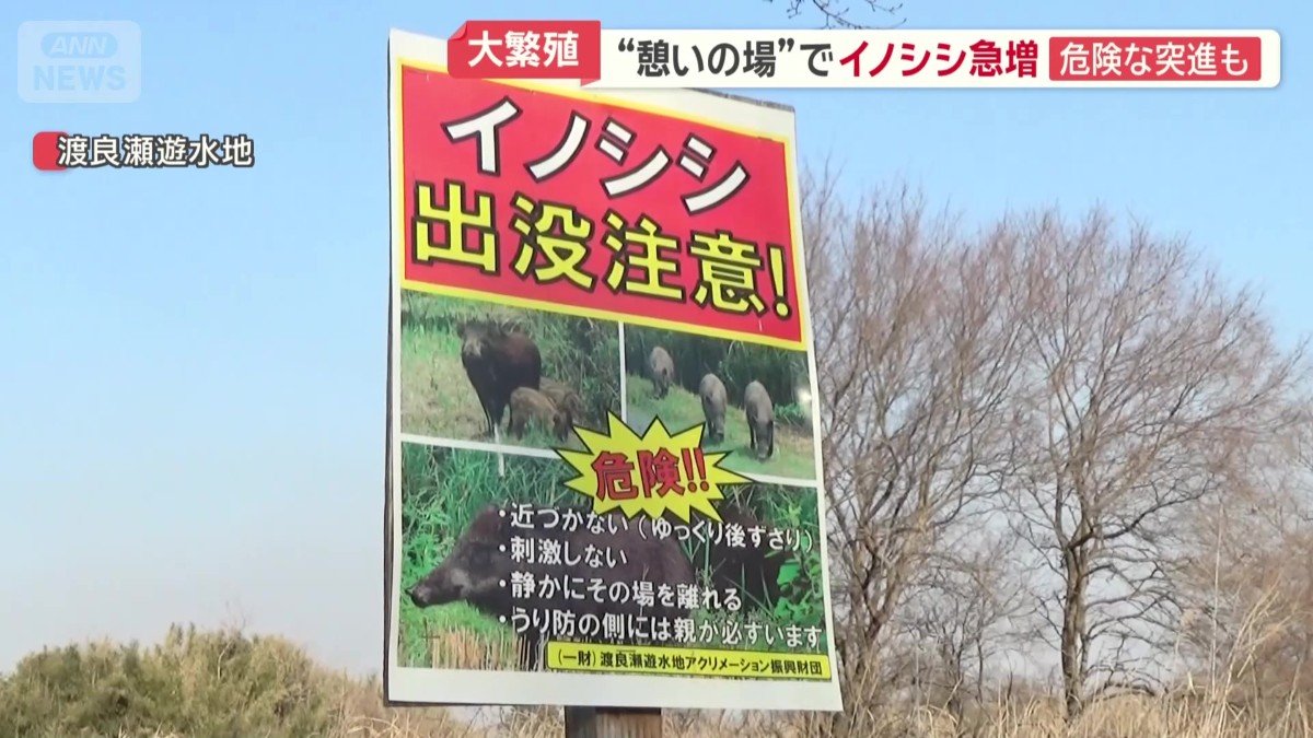 至る所に「イノシシ出没注意！」という看板