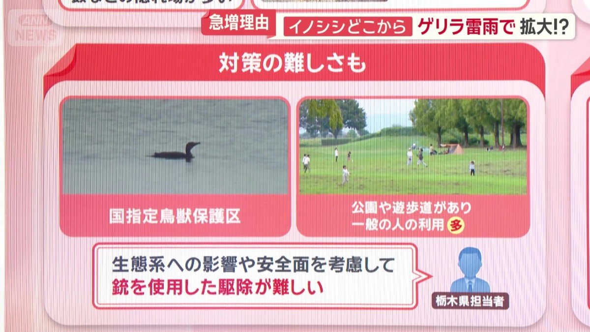 対策の難しさも