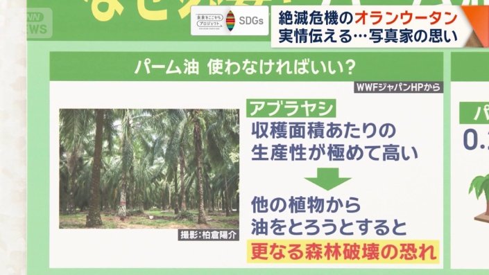 パーム油使わなければいい?