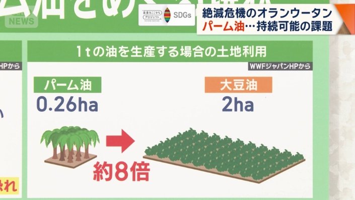 1トンの油を生産する場合の土地利用