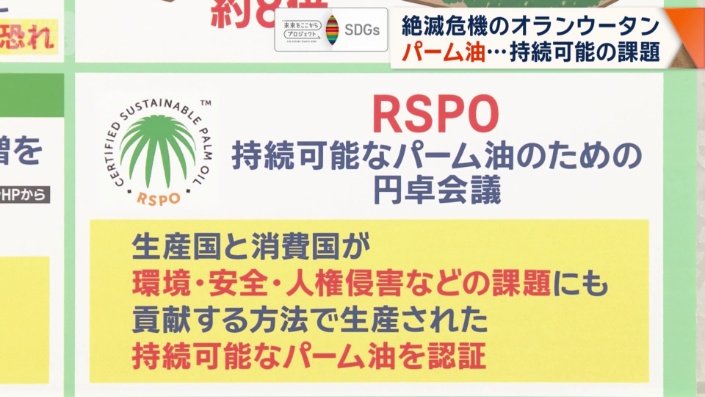 RSPOとは