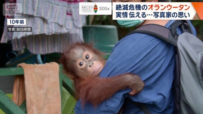 10年前に撮影されたオタンの写真