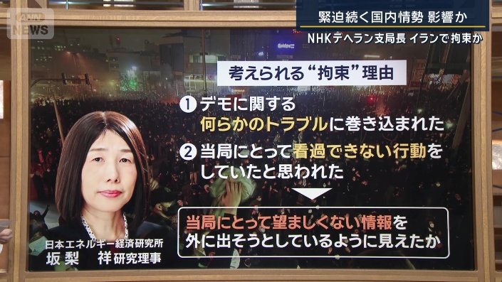 日本エネルギー経済研究所の坂梨祥さん