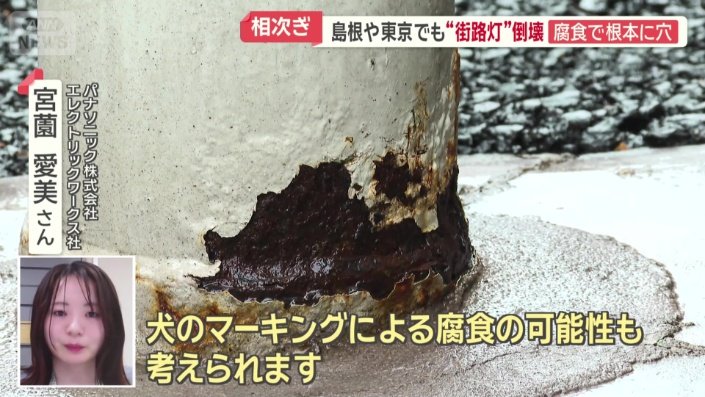 犬のマーキングによる腐食の可能性も