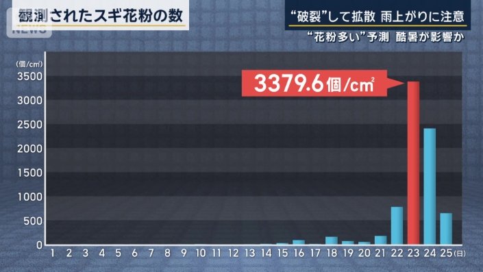 観測されたスギ花粉の数