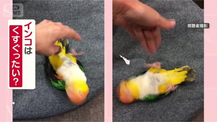 くすぐったいの？