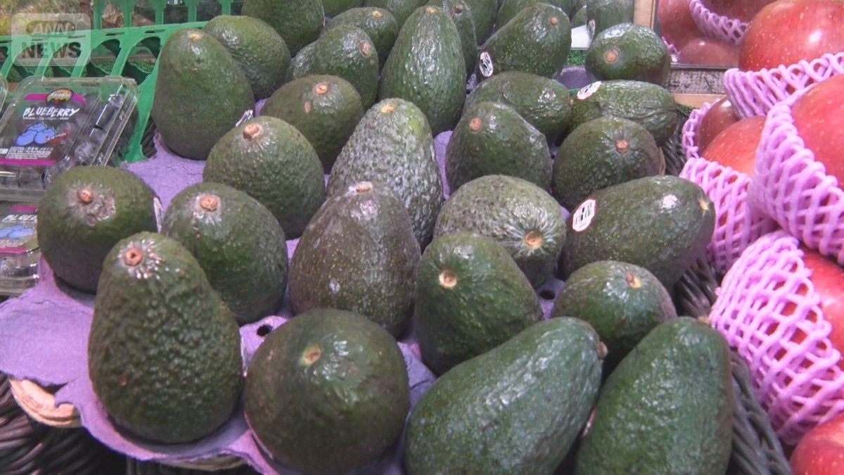 メキシコでアボカド大豊作　1年前より3割安、1個100円も　スーパーでは完売も