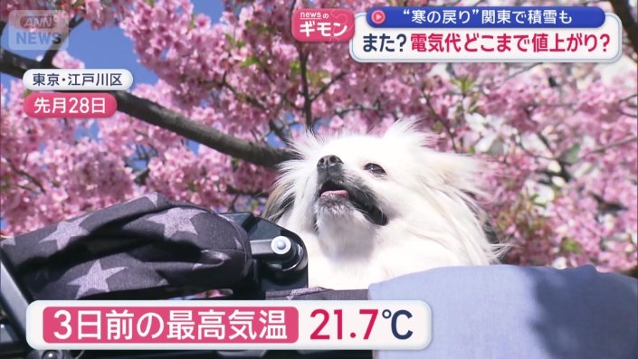 3日前の最高気温21.7℃