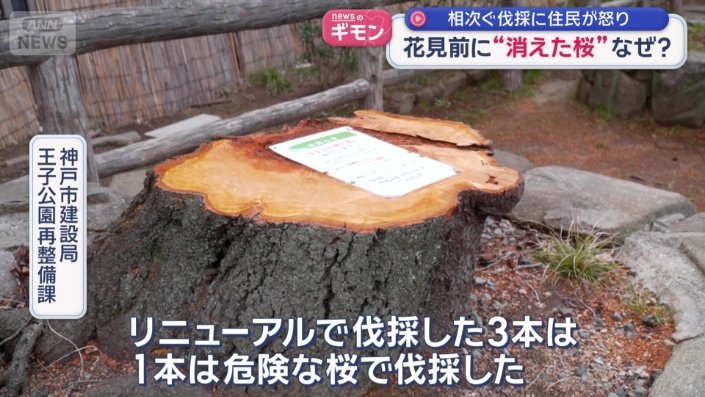 「やむを得ず伐採」