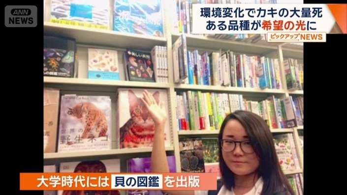 大学時代には貝の図鑑を出版