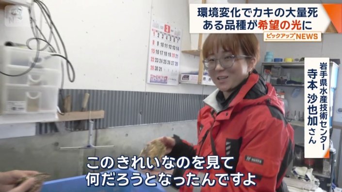 岩手県水産技術センター　寺本沙也加さん