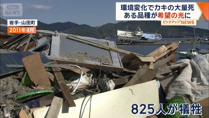 東日本大震災で壊滅的な被害