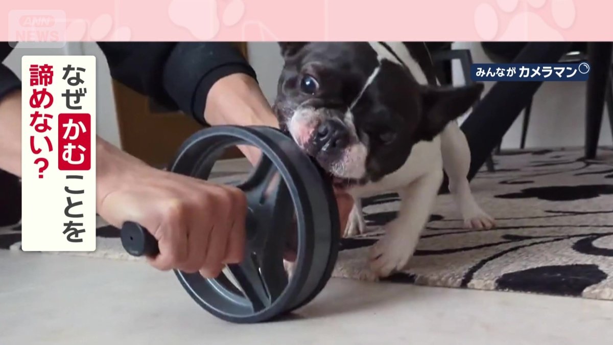 なぜ諦めない？