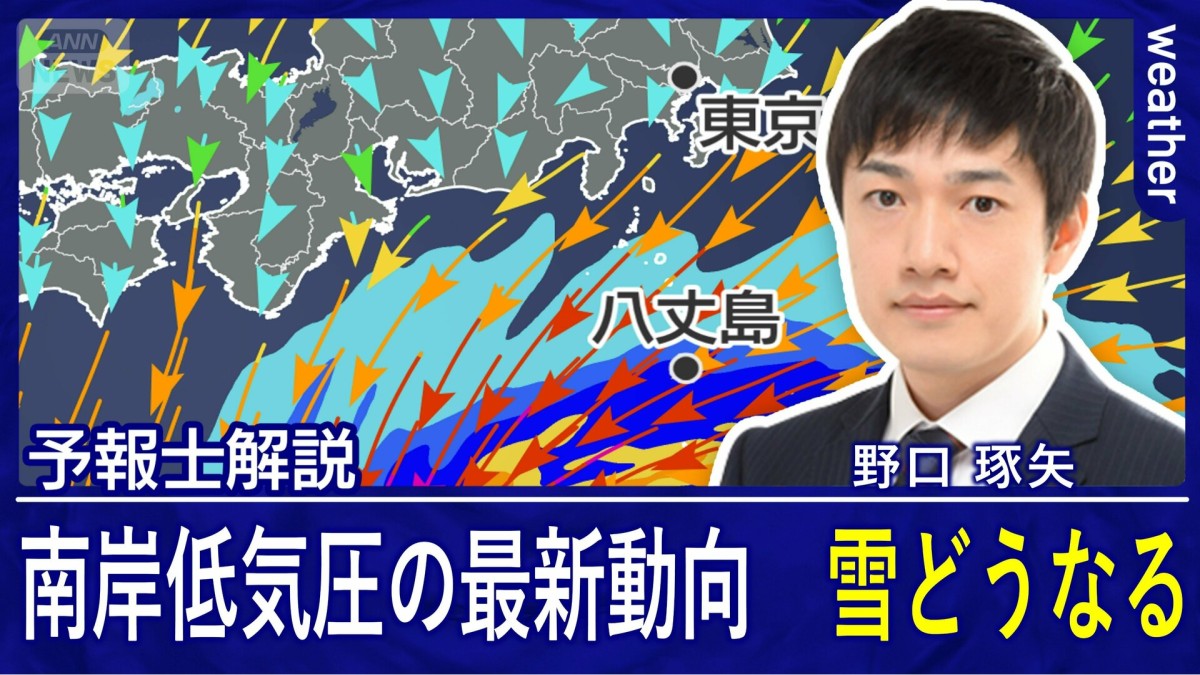 雪を降らせる南岸低気圧の動向は　来週はサクラ開花ラッシュ