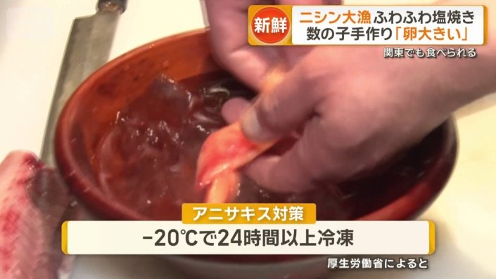 アニサキス対策