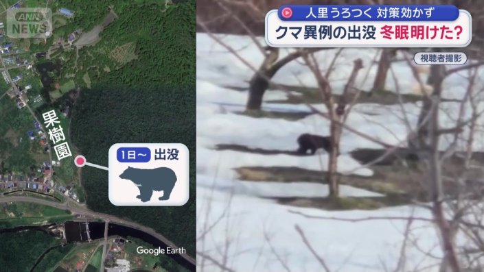 リンゴの実は、まだない