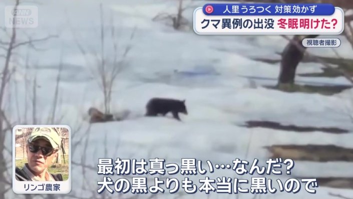 「子グマでも怖い」