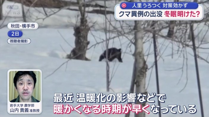 異例の出没が続く理由