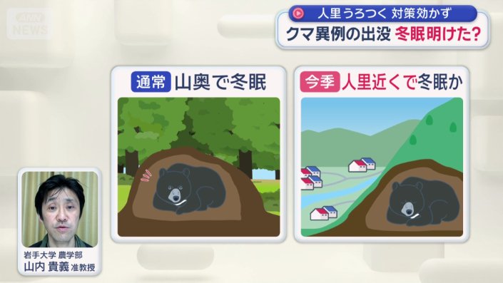 今年の冬眠について