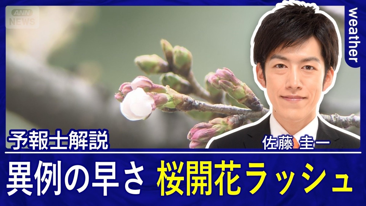 最も早い桜の開花ラッシュ　東京も600℃到達でいよいよ　あすは広く本降り