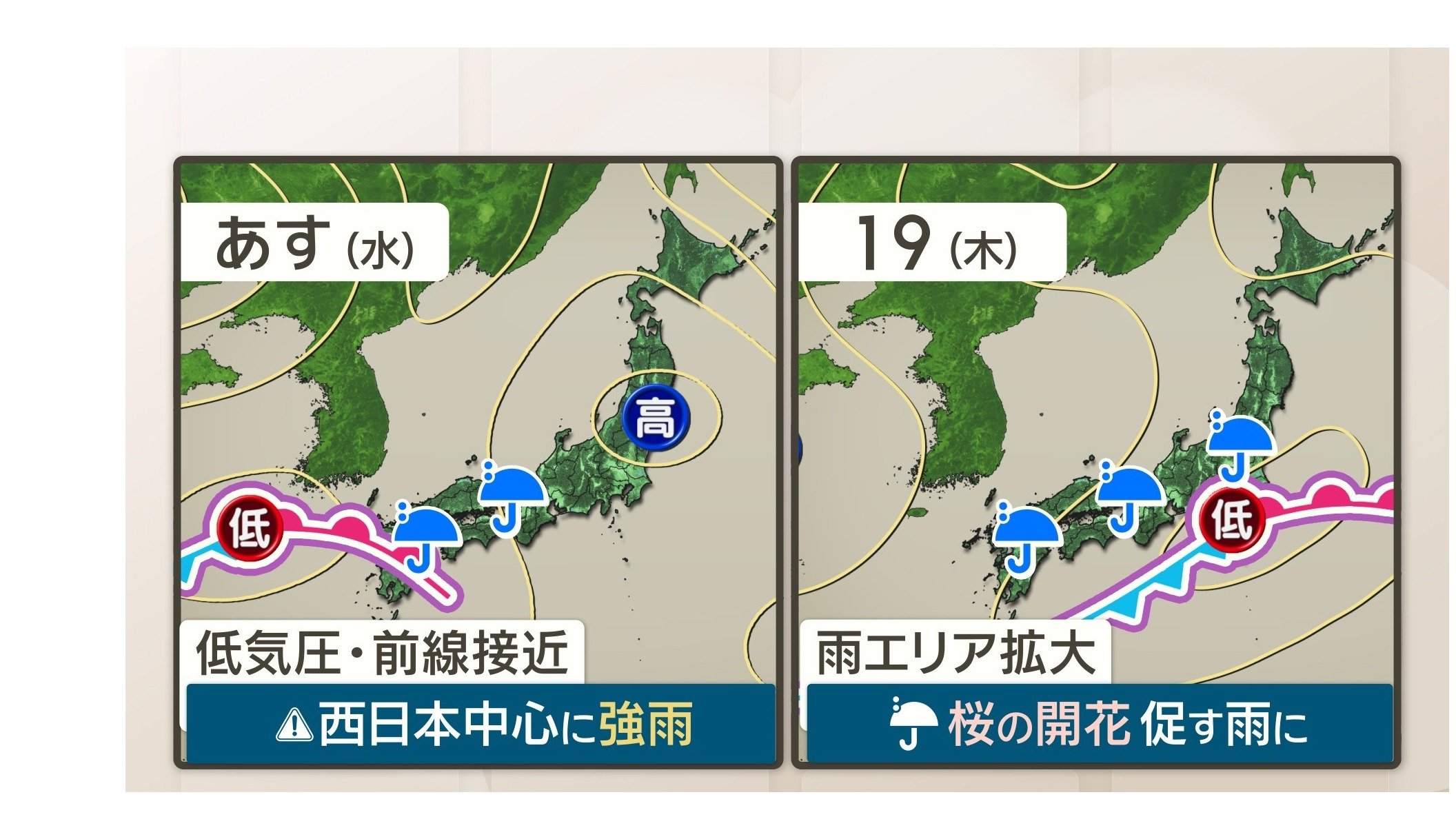 広く本降りの雨