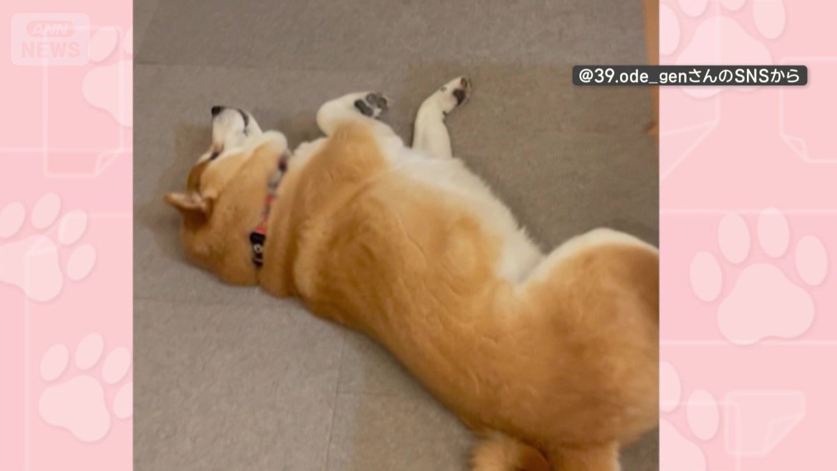 掃除機のそばでゴロン