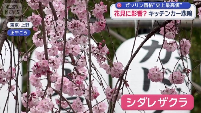 東京・上野公園