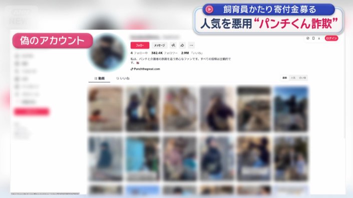 偽のアカウント