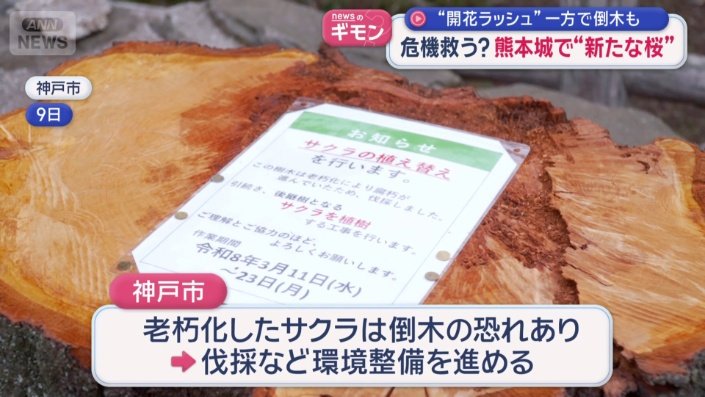 伐採など環境整備を進める