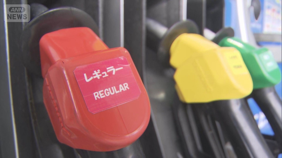 ガソリン高騰で30円政府補助金 170円に値下げ　財源に予備費使用も検討