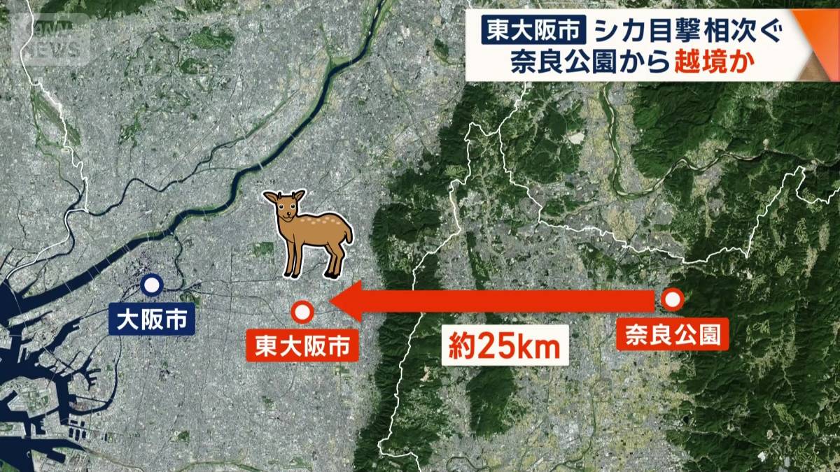 山を越え約25km離れた東大阪市に越境?