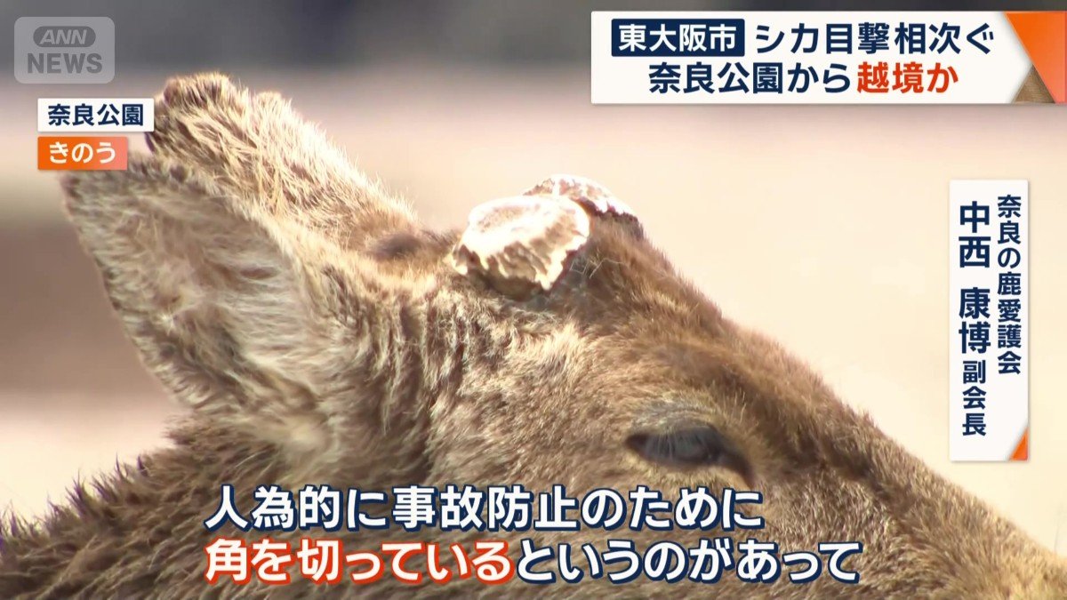 「人為的に事故防止のために角を切っている」