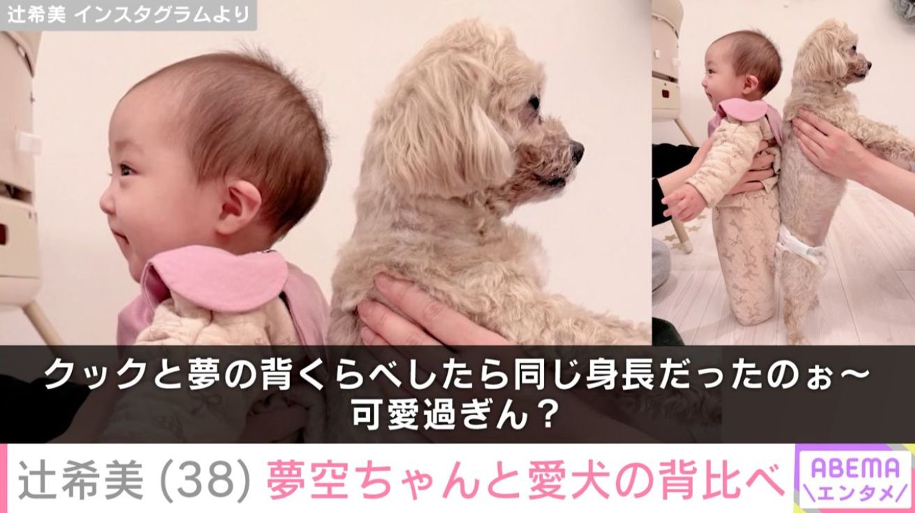 夢空ちゃんと愛犬