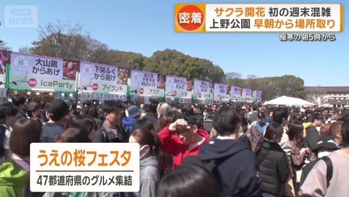 うえの桜フェスタ