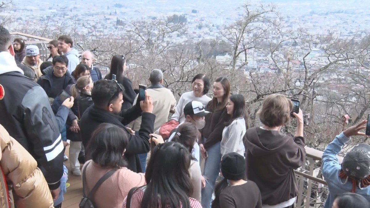桜まつり中止でも観光客殺到 迷惑行為に住民疲弊「注意しても無駄」 山梨・富士吉田市