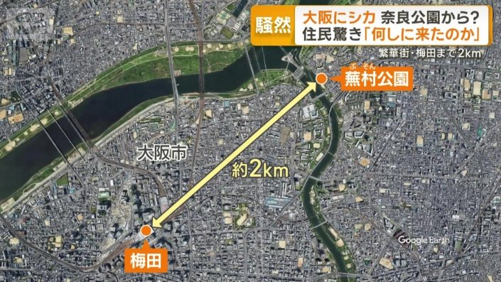 大阪の繁華街・梅田までわずか2キロほどの距離